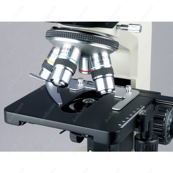 AmScope Biological Binocular C - Microscope Compound 40X ulasan dan harga