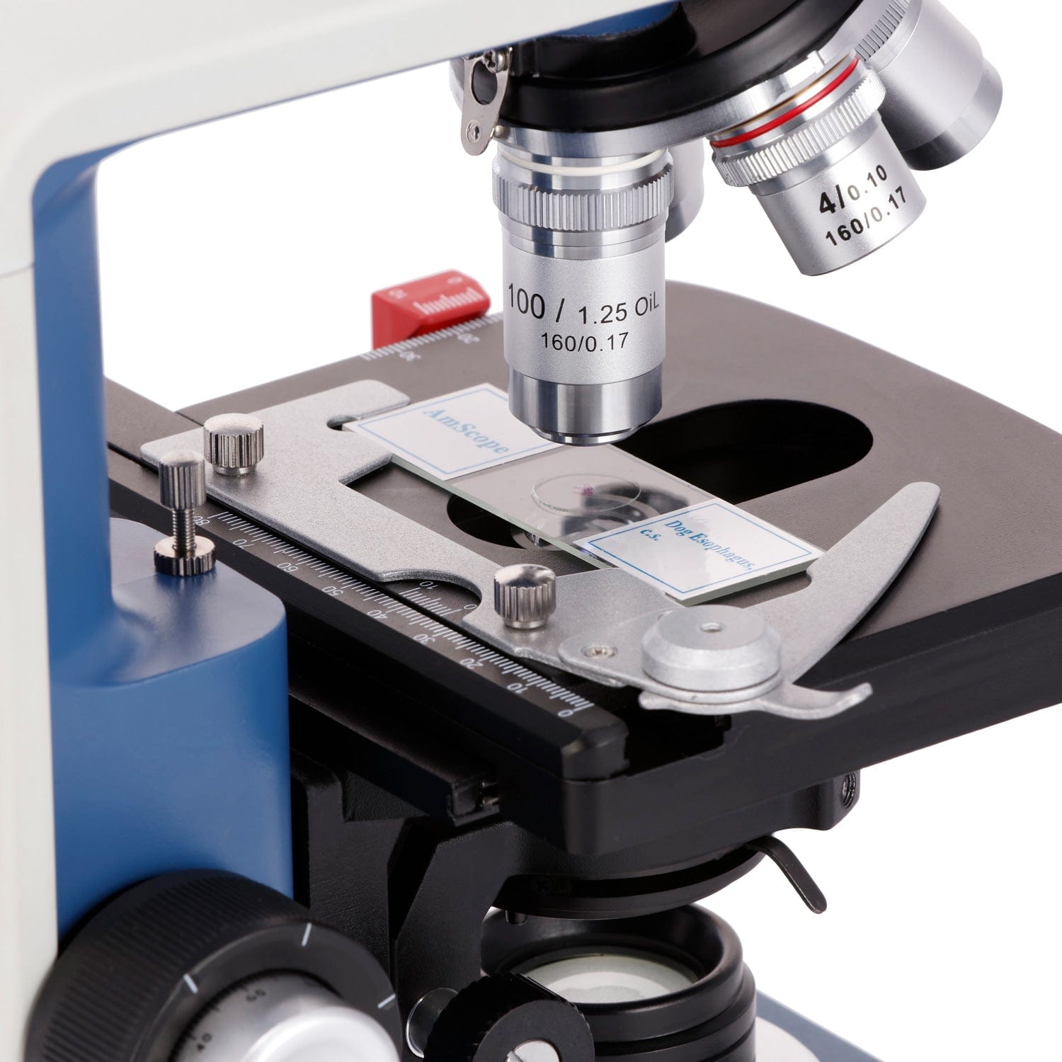 AmScope 40X-2500X Student Bino - Microscope Compound 40X ulasan dan harga