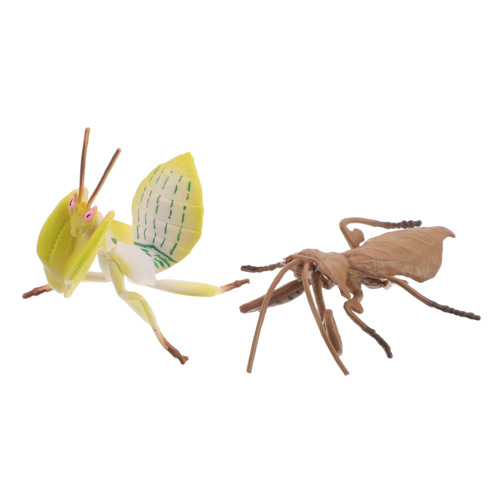 2Pcs Realistic Praying Mantis  - Science Nature ulasan dan harga
