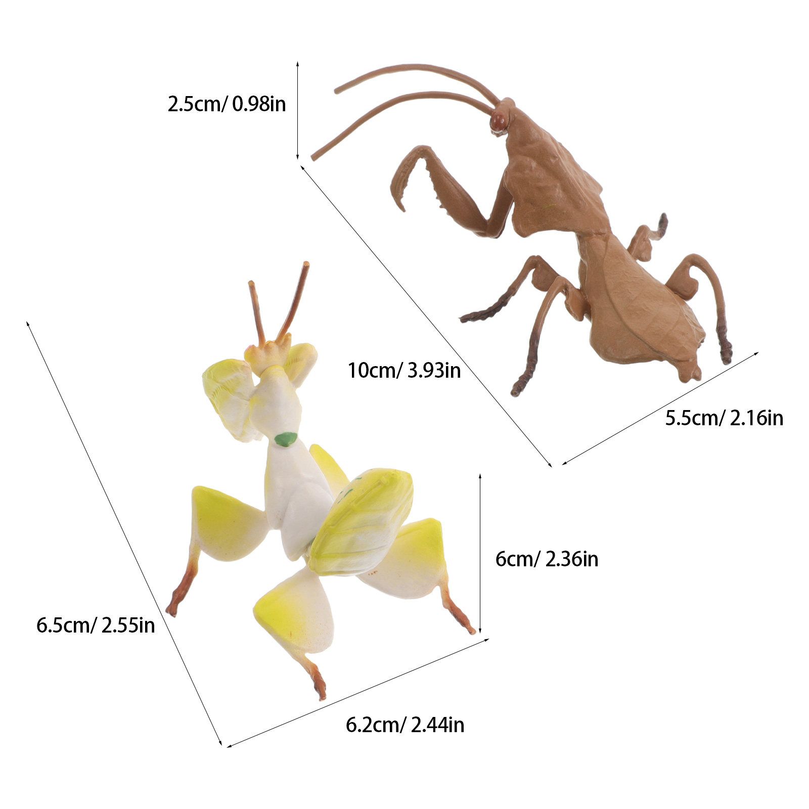 2Pcs Realistic Praying Mantis  - Science Nature ulasan dan harga
