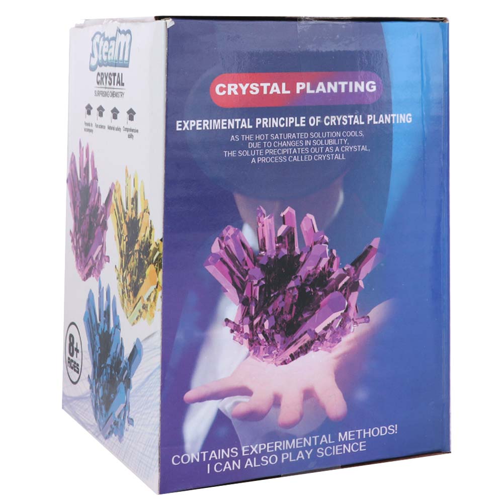 Grow a Crystal Crystal Growing - Science Project Diy ulasan dan harga