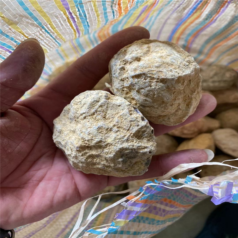 Break Your Own Geodes Natural  - Geode Crystal Break ulasan dan harga